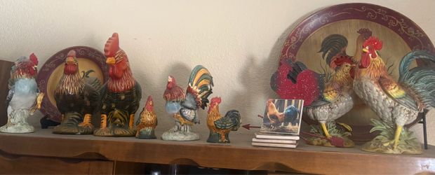 Rooster