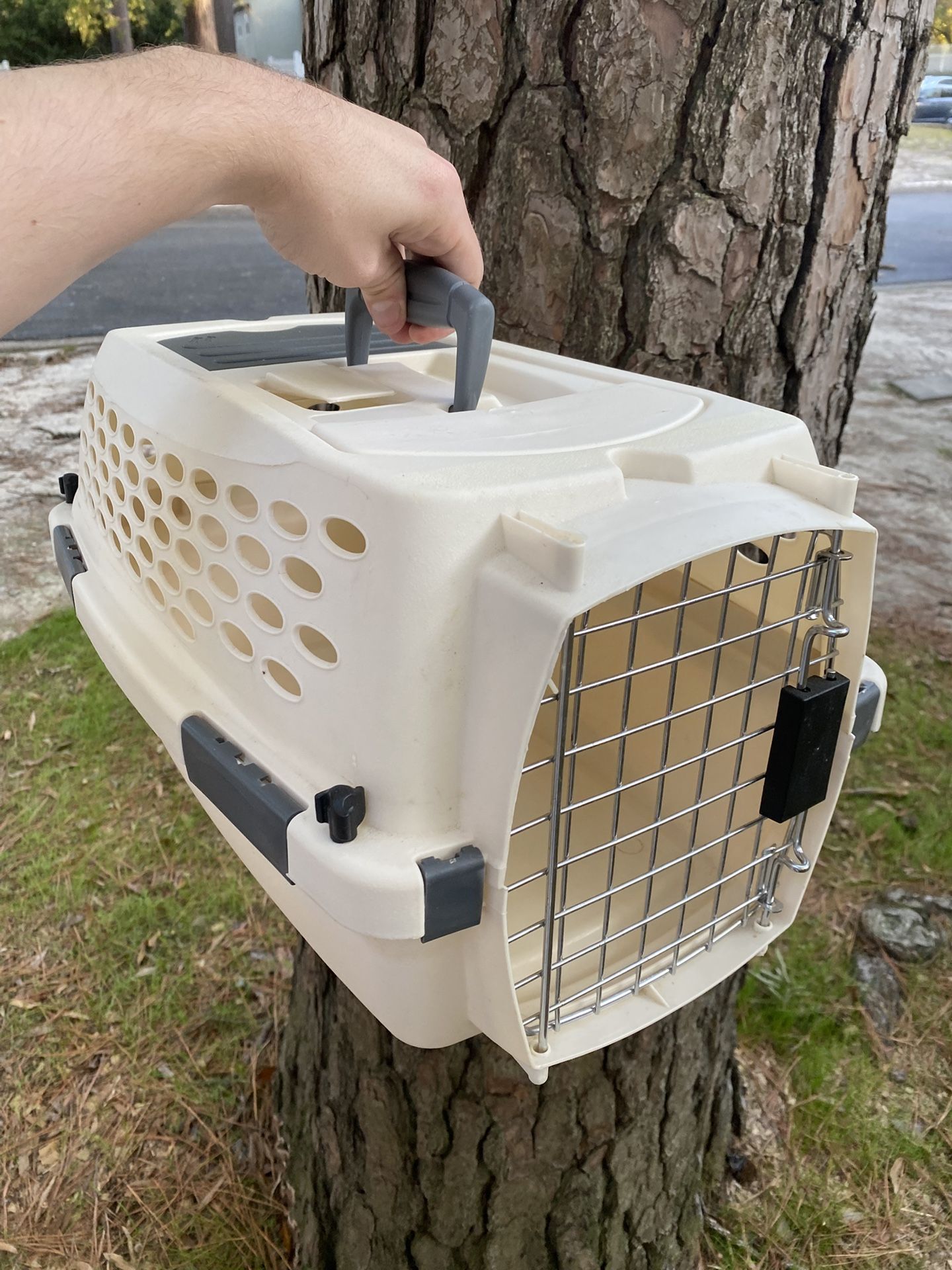 Guinea Pig, Rabbit, Cat Carrier