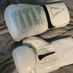 White Title Boxing Gloves 14 Ounce