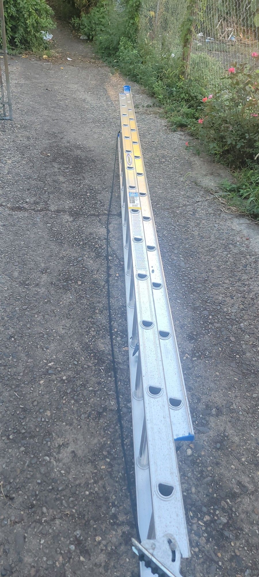 werner ladder 28ft New