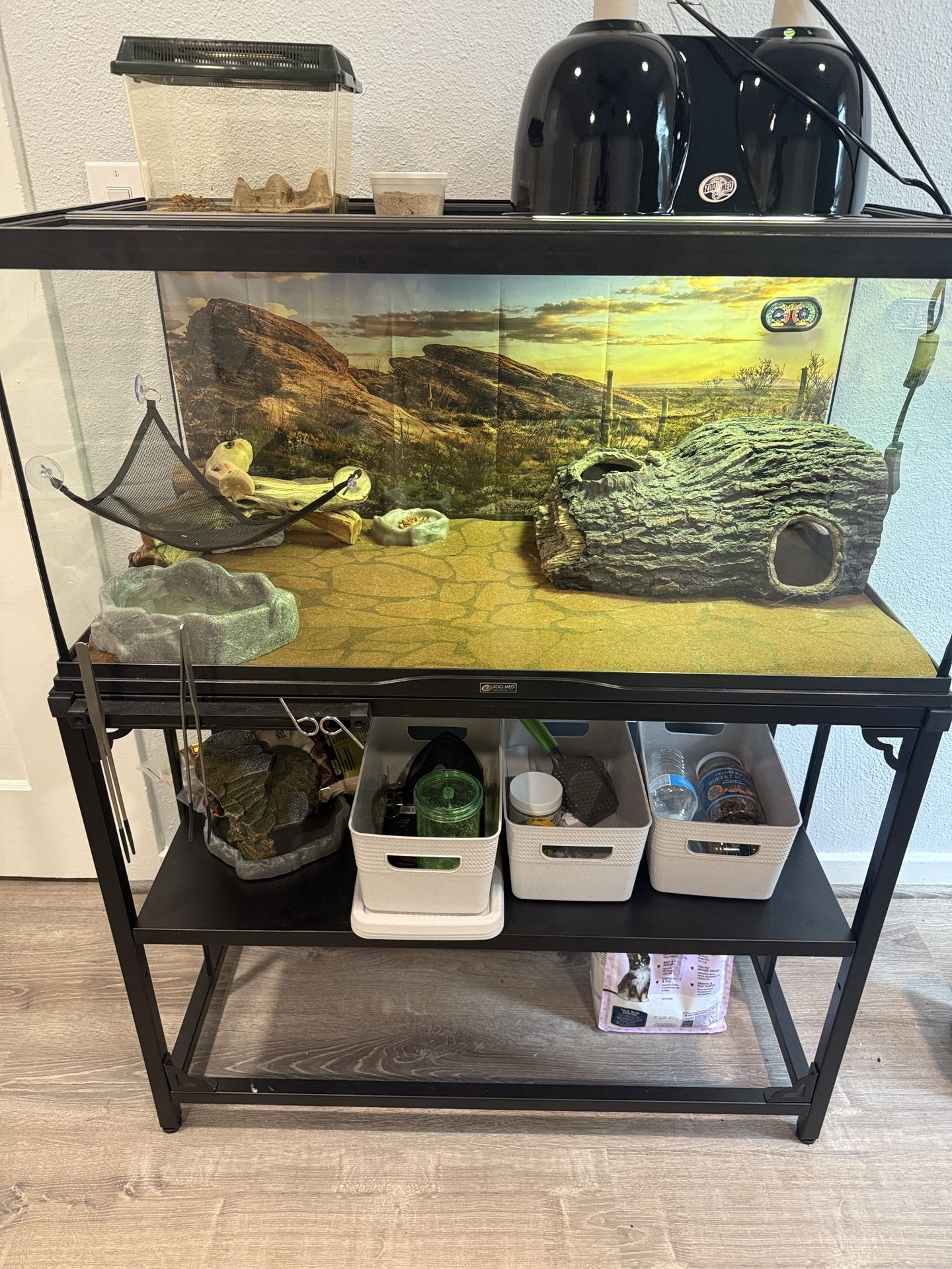 Reptile Setup 
