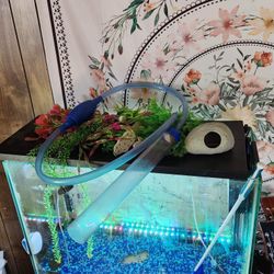 37 Gallon Fish tank And Stand With Decor, And More!