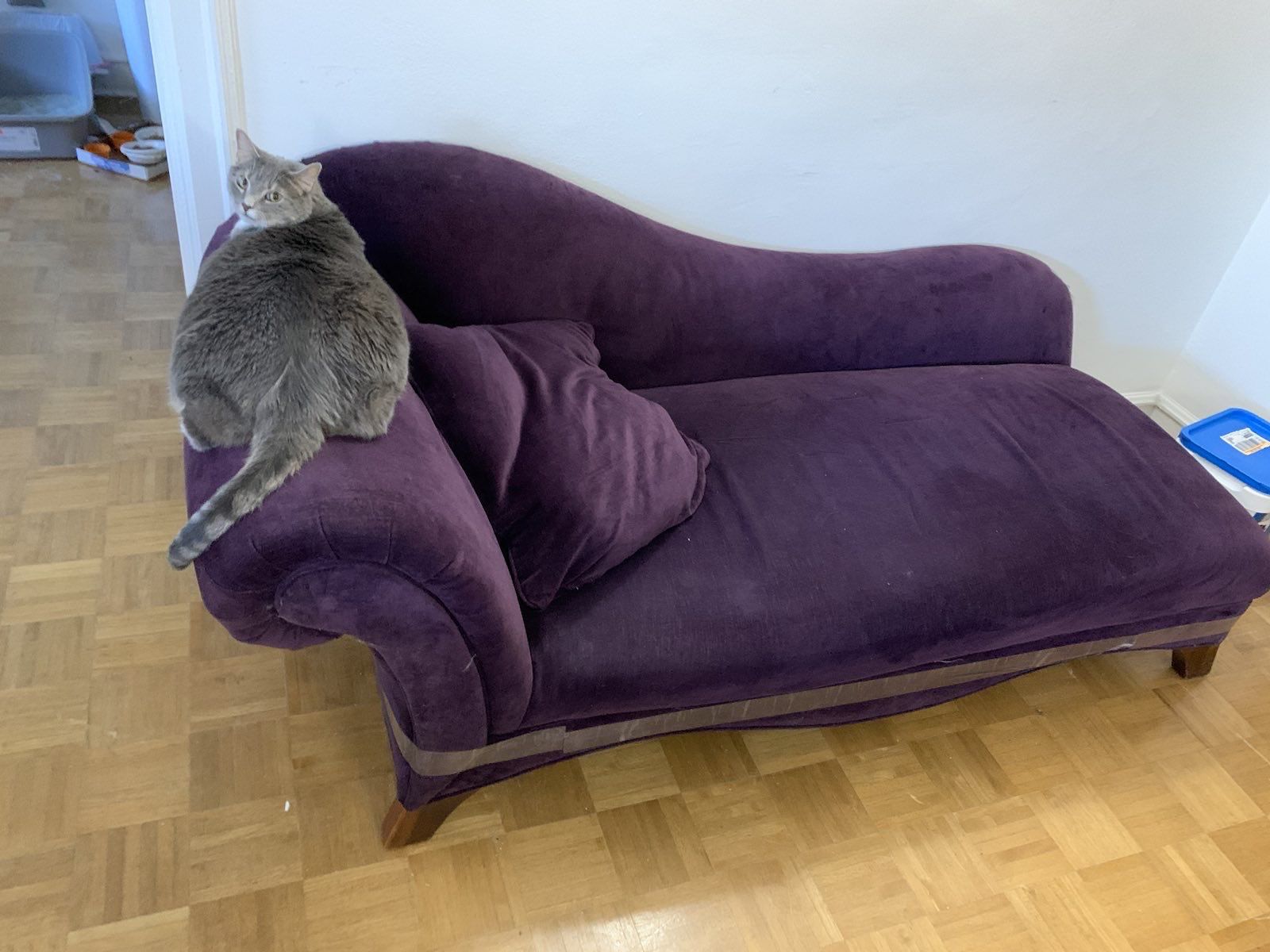 Vintage Purple Fainting Couch