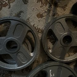 Set Of 25 Lbs Plates 