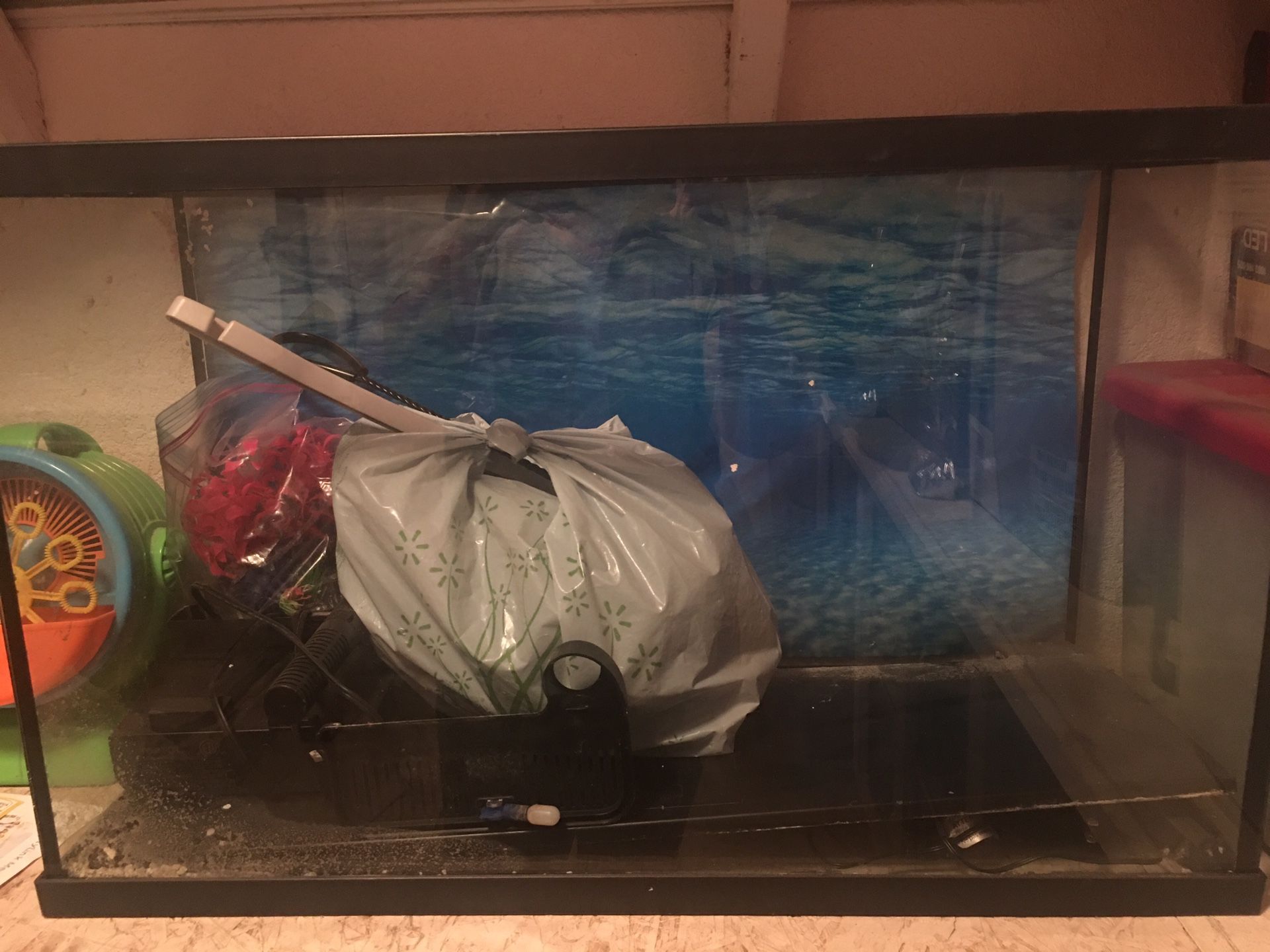 30 Gallon Aquarium 