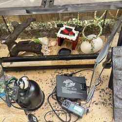 25 Gallon Reptile Tank