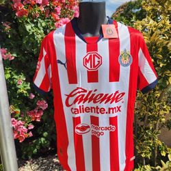 Chivas Home Soccer Jersey 24 25