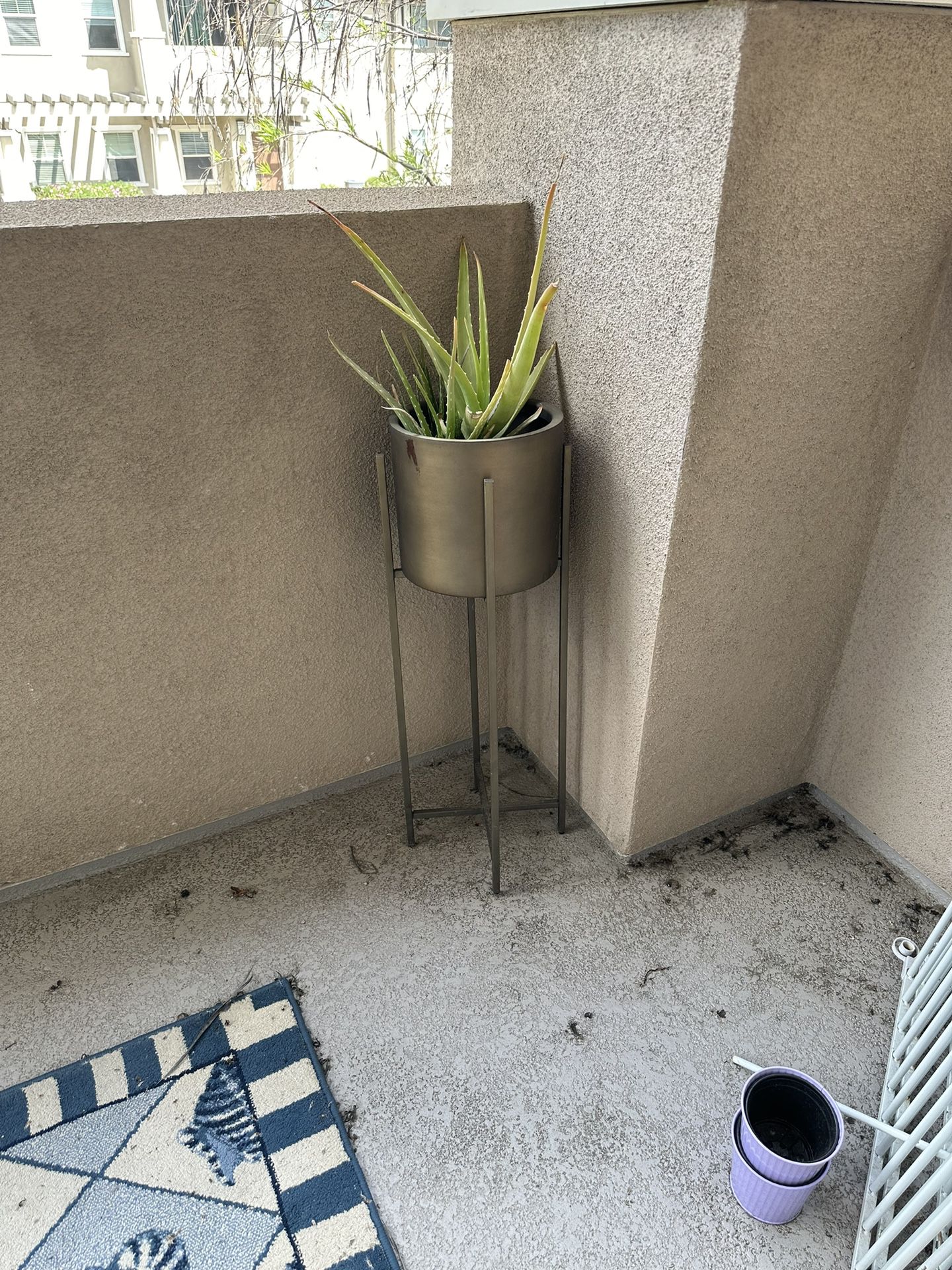 Aloe Plant + Stand 