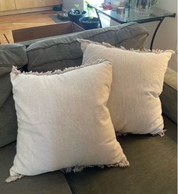 Set of 2 Decorative Throw Pillows