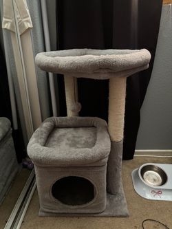 Cat Tree