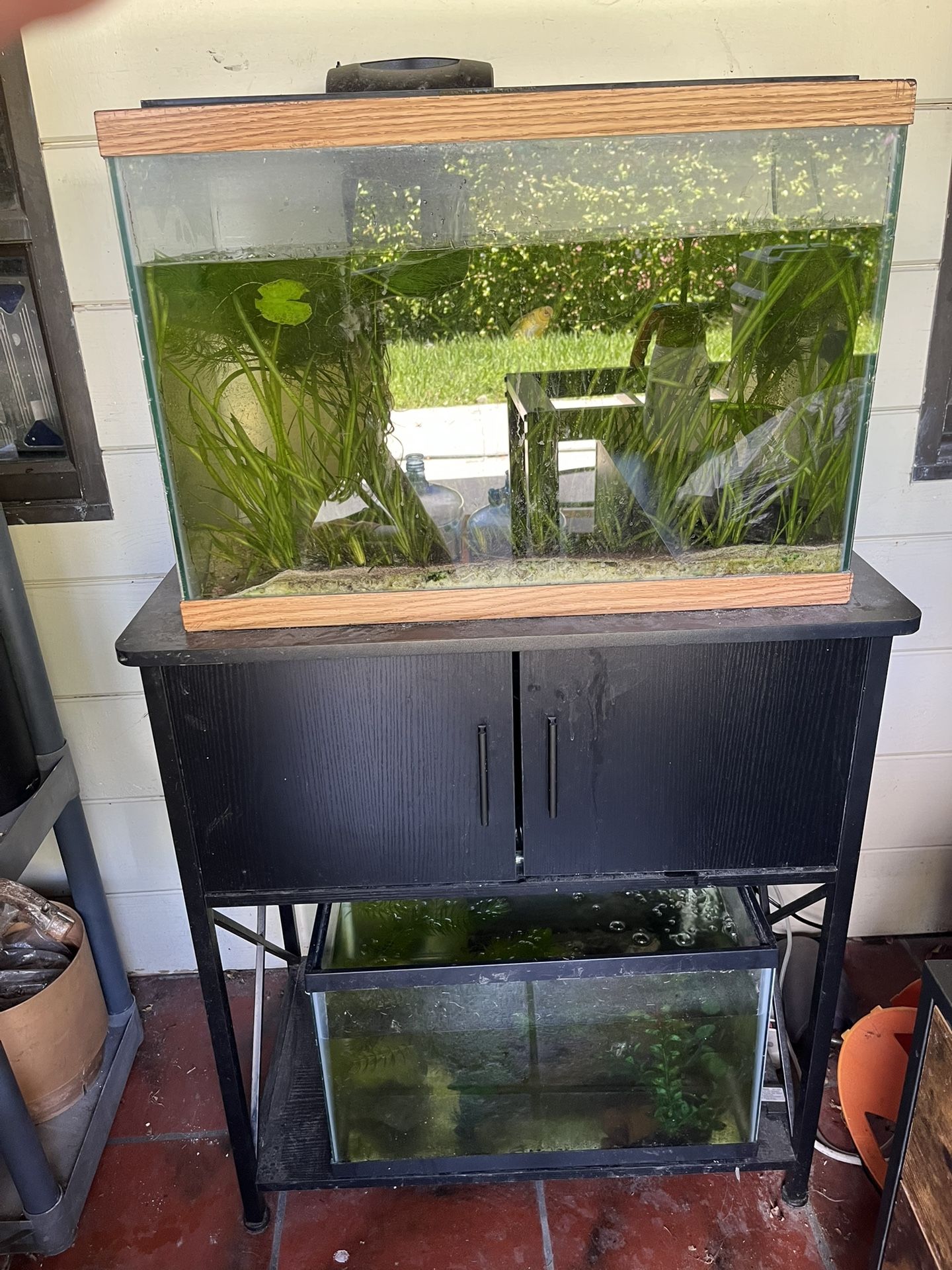 Fish Tanks and Stand