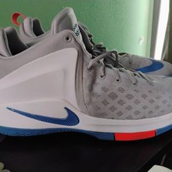 LeBron James Nike Shoes Size 14