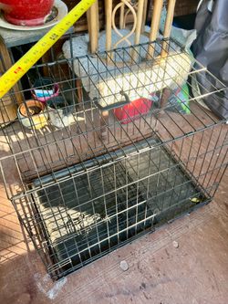 PET crate 29 long by 23 tall
