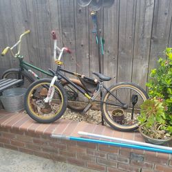 Fit Bike 20 Inch Frame 