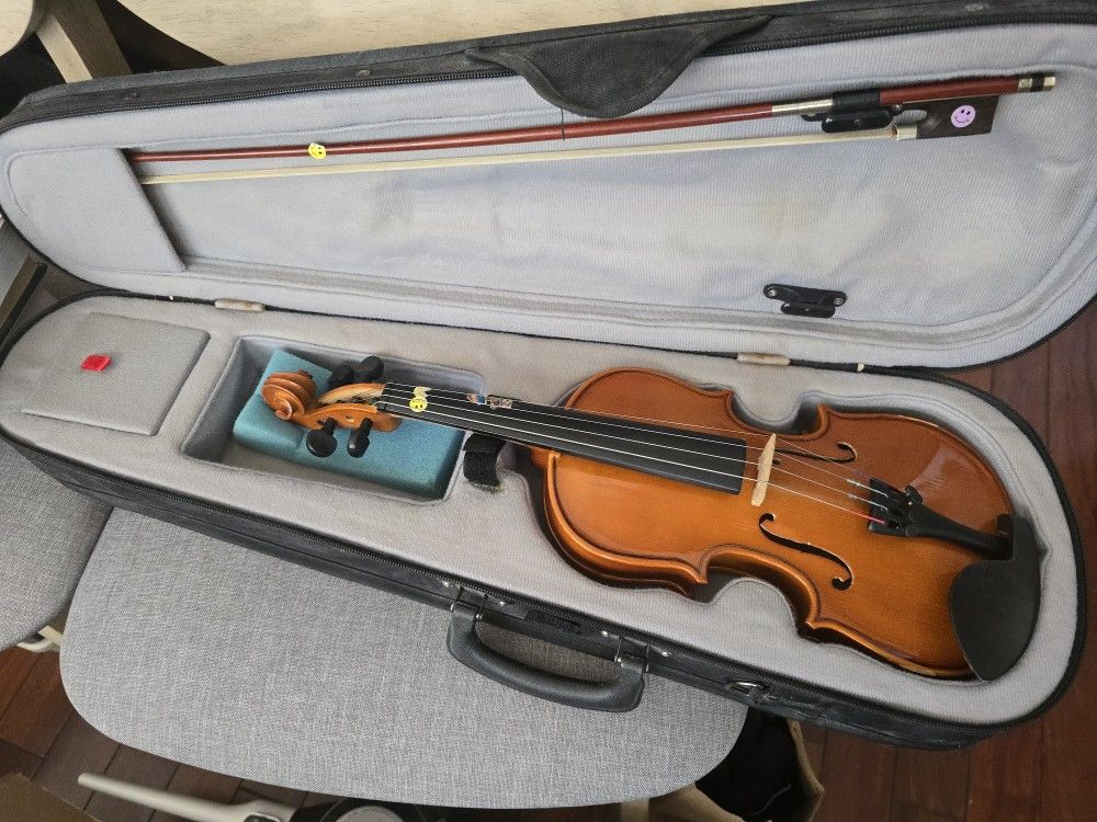 Violin With New Shoulder Rest