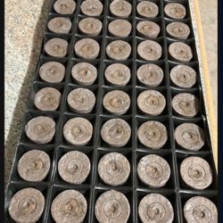 400 Pots & 20 Tray Pods