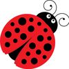 Ladybugscloset