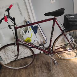 2001 lotus Road/City Bike,Shorter Handle And Grips