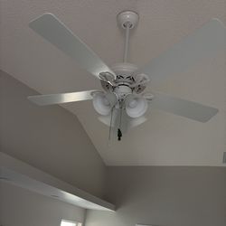 52” Hunter Ceiling Fan