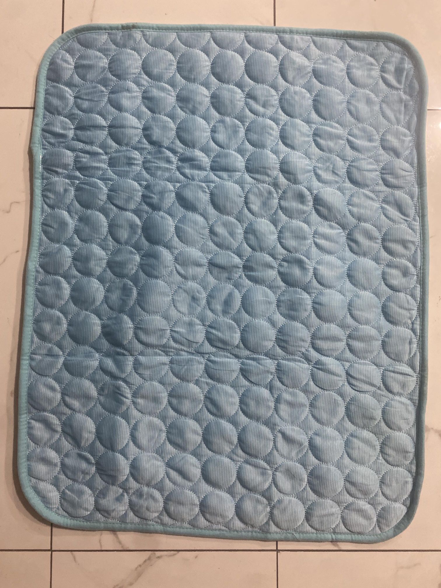 Absorption Cat Dog Blanket Ice Silk Sleeping Pad Pet Cooling Mat 22 x 28