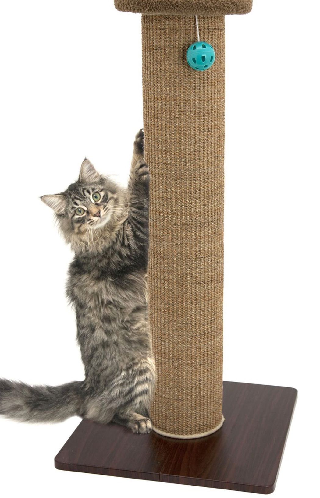 Kitty City Scratching Post 30$ Each OBO Deal Original Price 50$