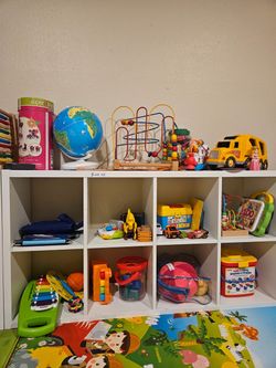 IKEA Kallax Storage Organizer