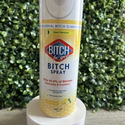 B  be Gone Clorox Spray Tumbler 
