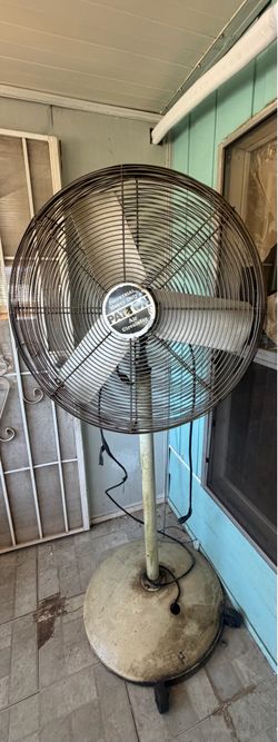 Fan