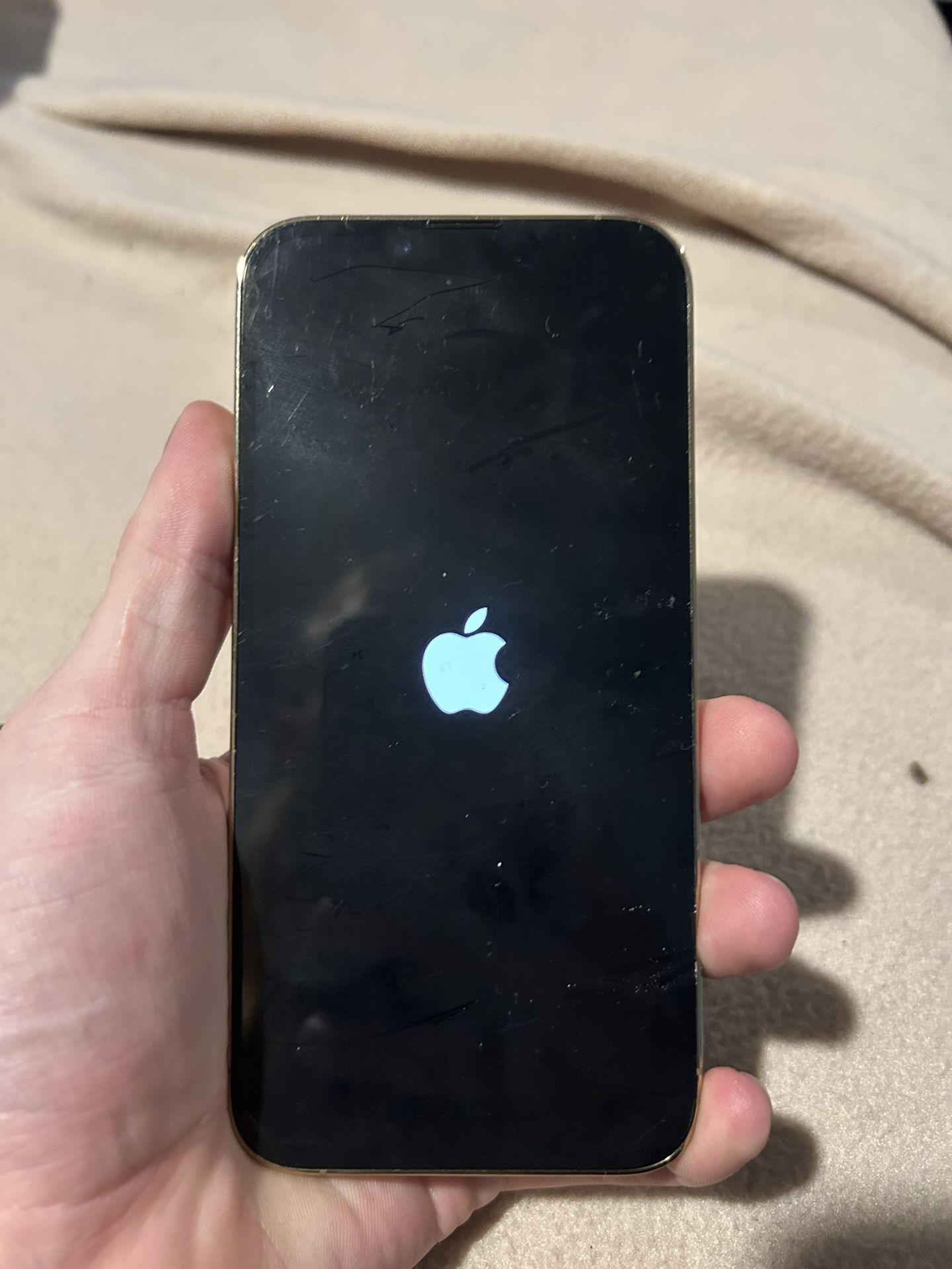 iPhone 13 Pro Max Tan And Gold