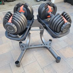 Weights and Bench