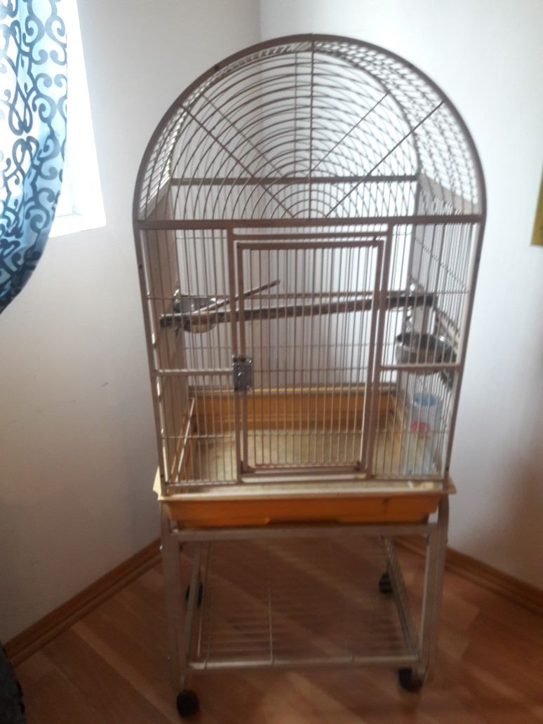 Bird cage about 5'