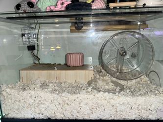 Hamster enclosures