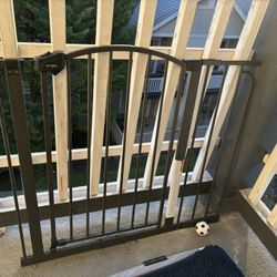 Puppy Gate