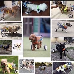 Adjustable Dog Cart/Wheelchair, for Pet/Doggie Wheelchairs with