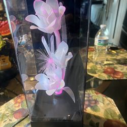 Lighted Roses 4 Different Colors