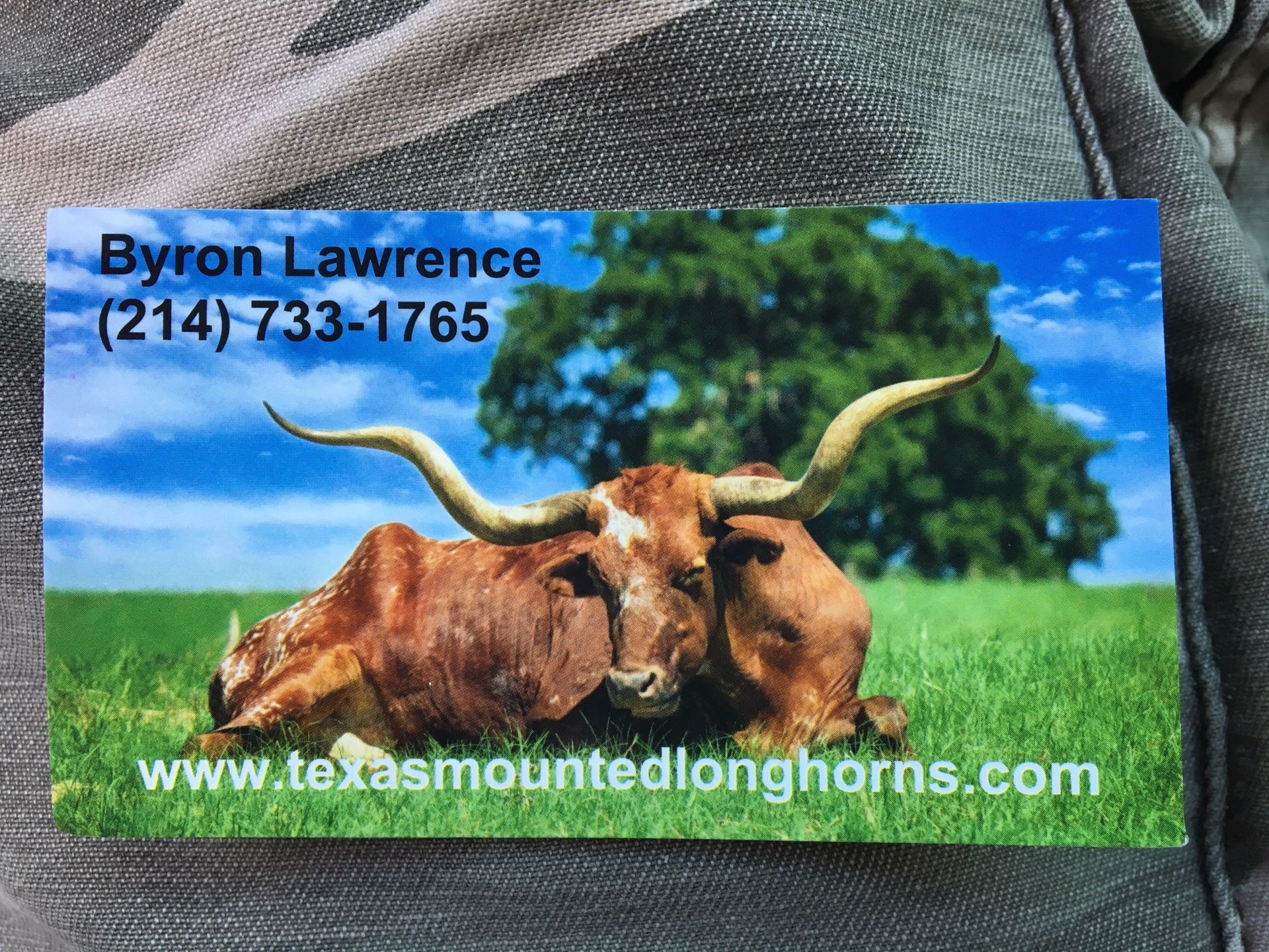 Western decor mounted longhorns, skulls, rugs read description