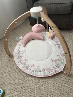 Aden + Anaís Play & Discover Activity Gym
