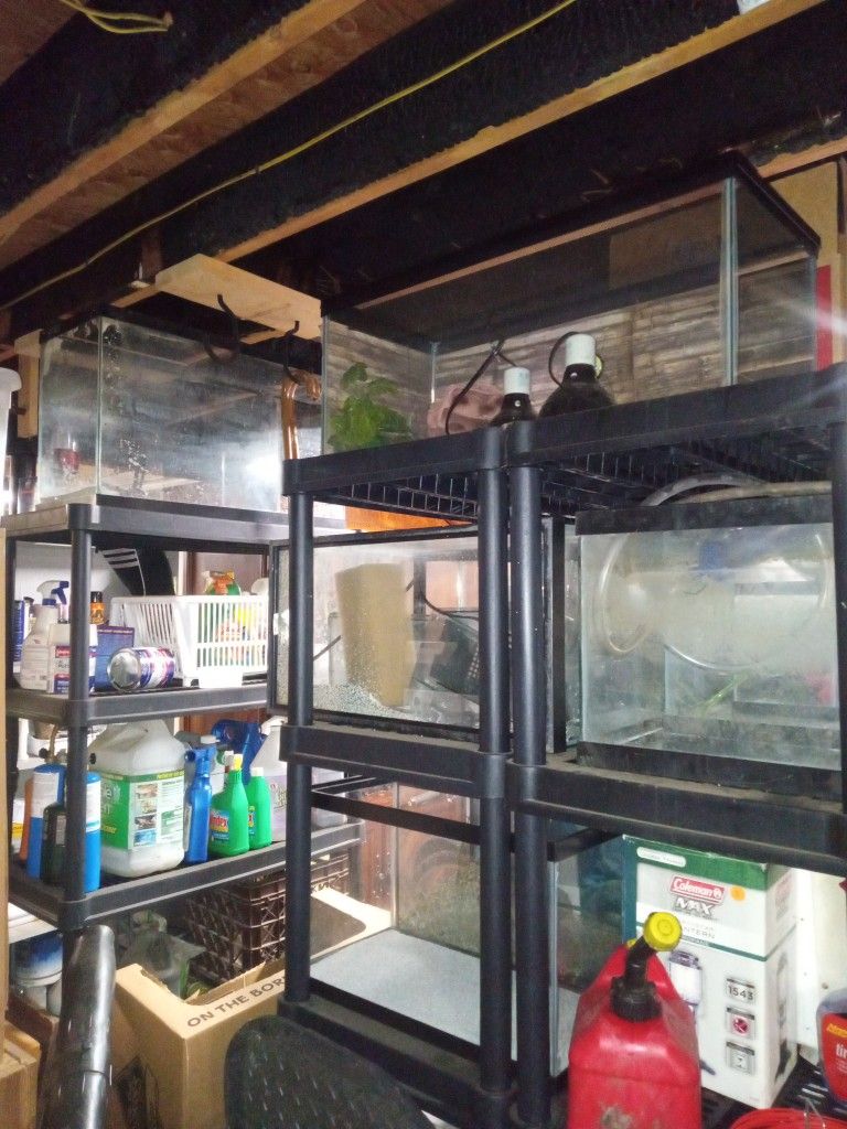 Fish Tanks Assorted Sizes And Supplies
