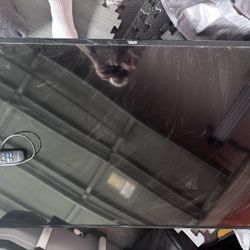 55 Inch Roku Smart Tv