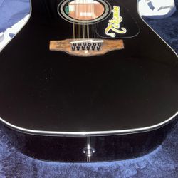 Takamine G Series 