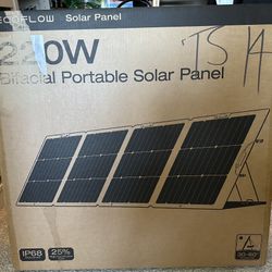 EcoFlow DELTA 2 Solar Generator (PV 220W)