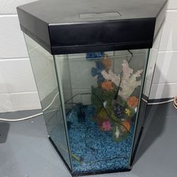Fish Aquarium 