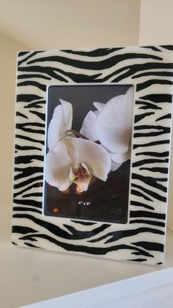 4x6 Zebra Picture Frame