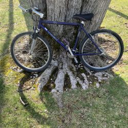 26” Trek Mountain Bike (large Frame )