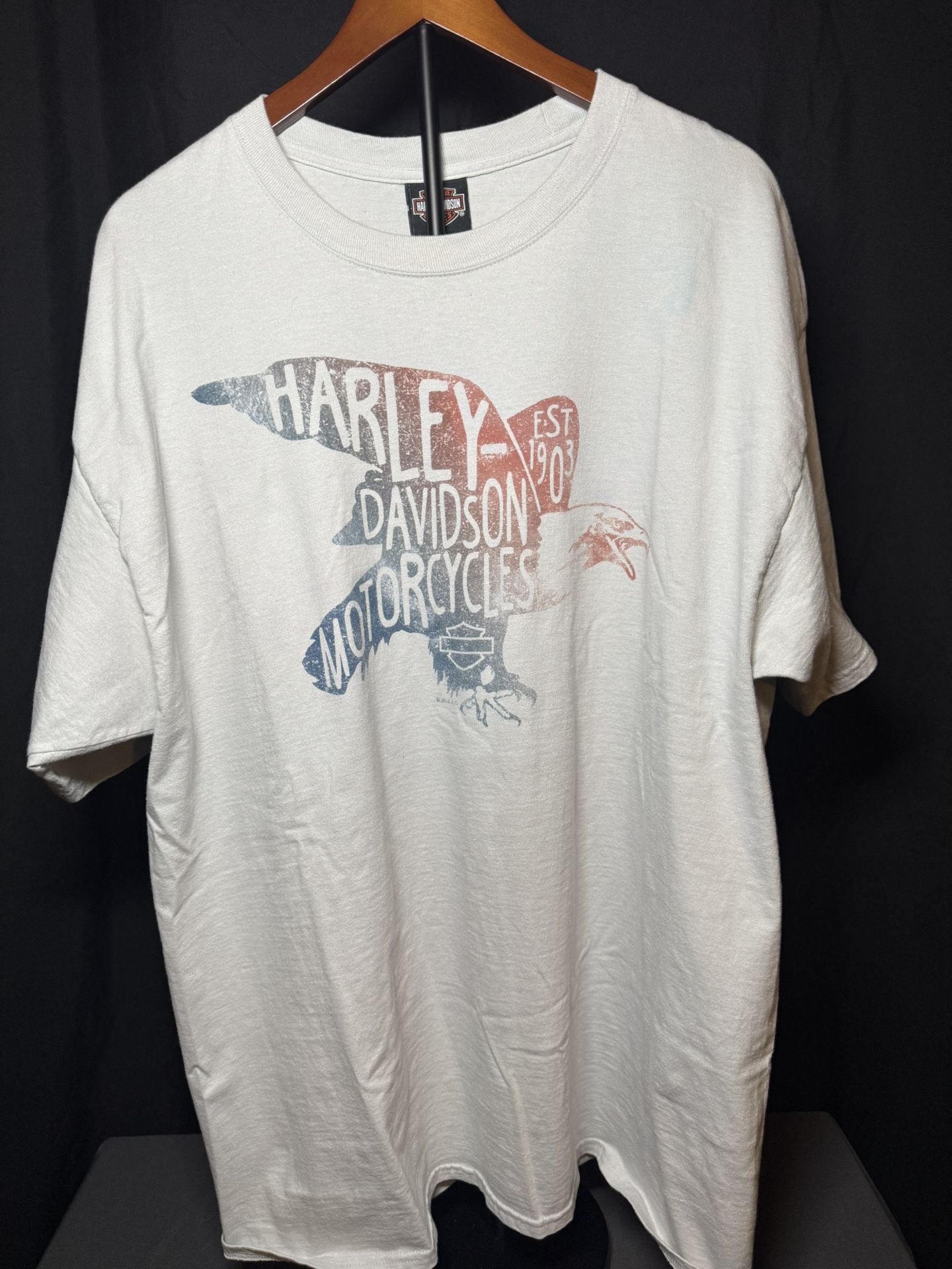 Graphic Tee: Harley Davidson (Authentic)