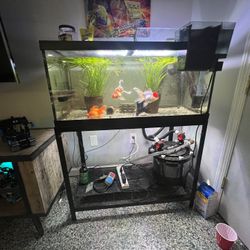 50 Gallon Tank + Fluval FX4 