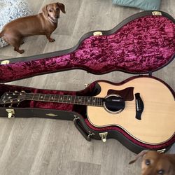 Taylor  Guitar Builder's Edition 816ce