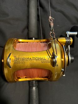 International penn 50 VWS with star rods B50/100HC  combo