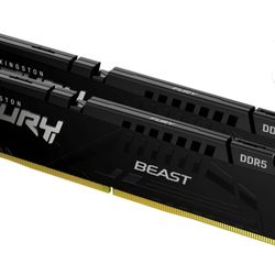 Fury Beast "2 " Matched 16gb DDR5  Sticks