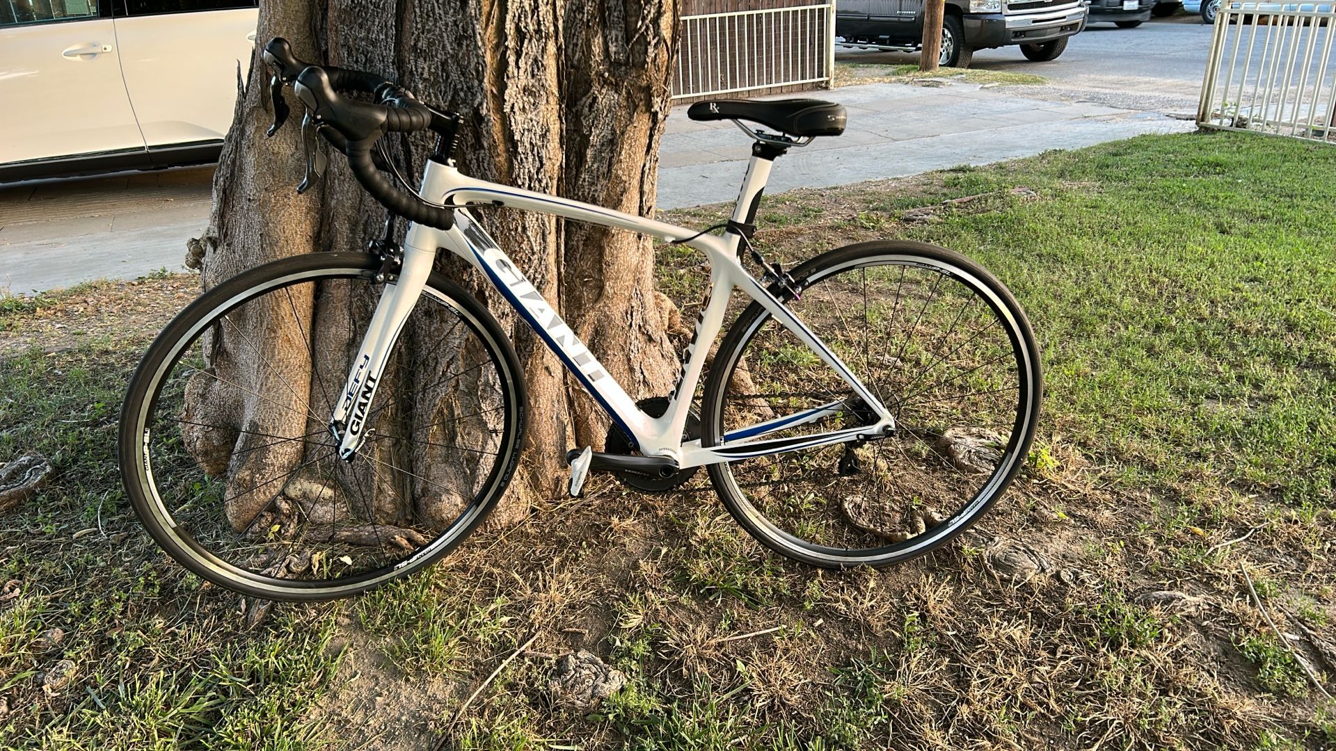 Giant Road Bike
